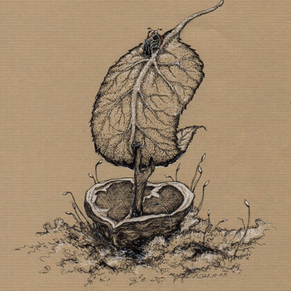 "Vessel" - tollrajz - Inktober 2021