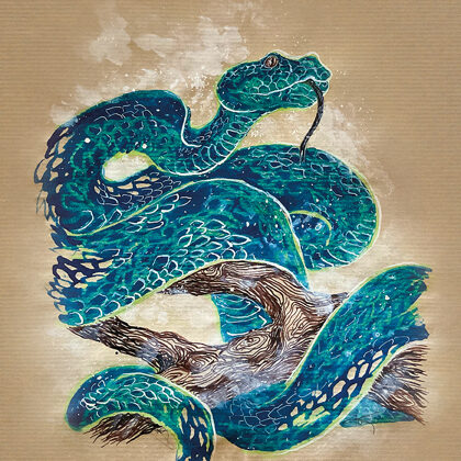 Kígyó illusztráció vegyes technikával (tus, akril, tempera, zsírkréta)