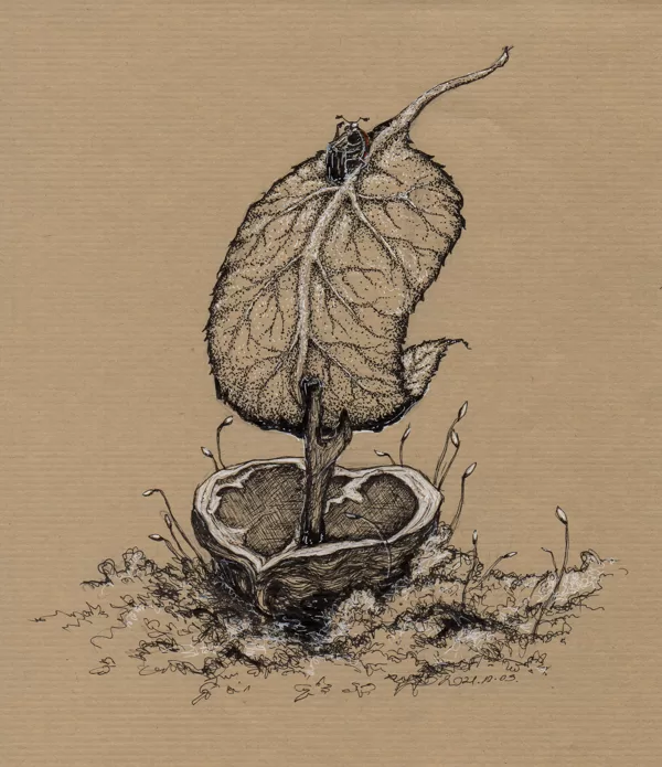 "Vessel" - tollrajz - Inktober 2021