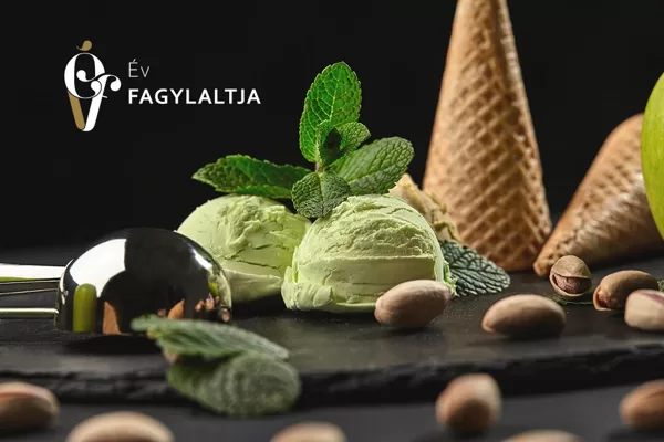 Év fagylaltja logóterv